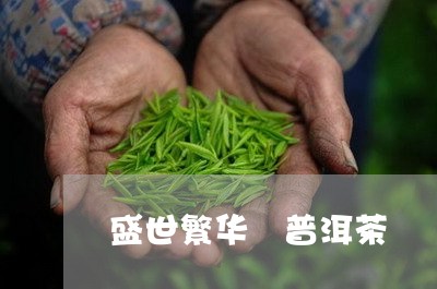 盛世繁华 普洱茶/2023032995171